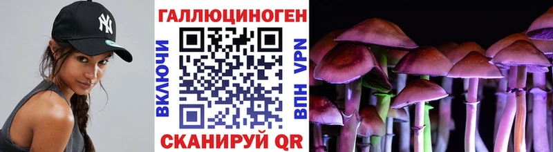 Псилоцибиновые грибы Cubensis  Нахабино 